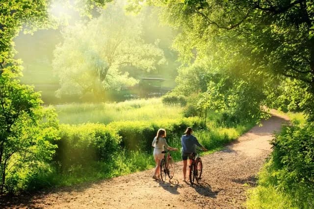 Najlepsze trasy rowerowe w Bytomiu: trudności, długości i atrakcje Najlepsze trasy rowerowe w Bytomiu: trudności, długości i atrakcje