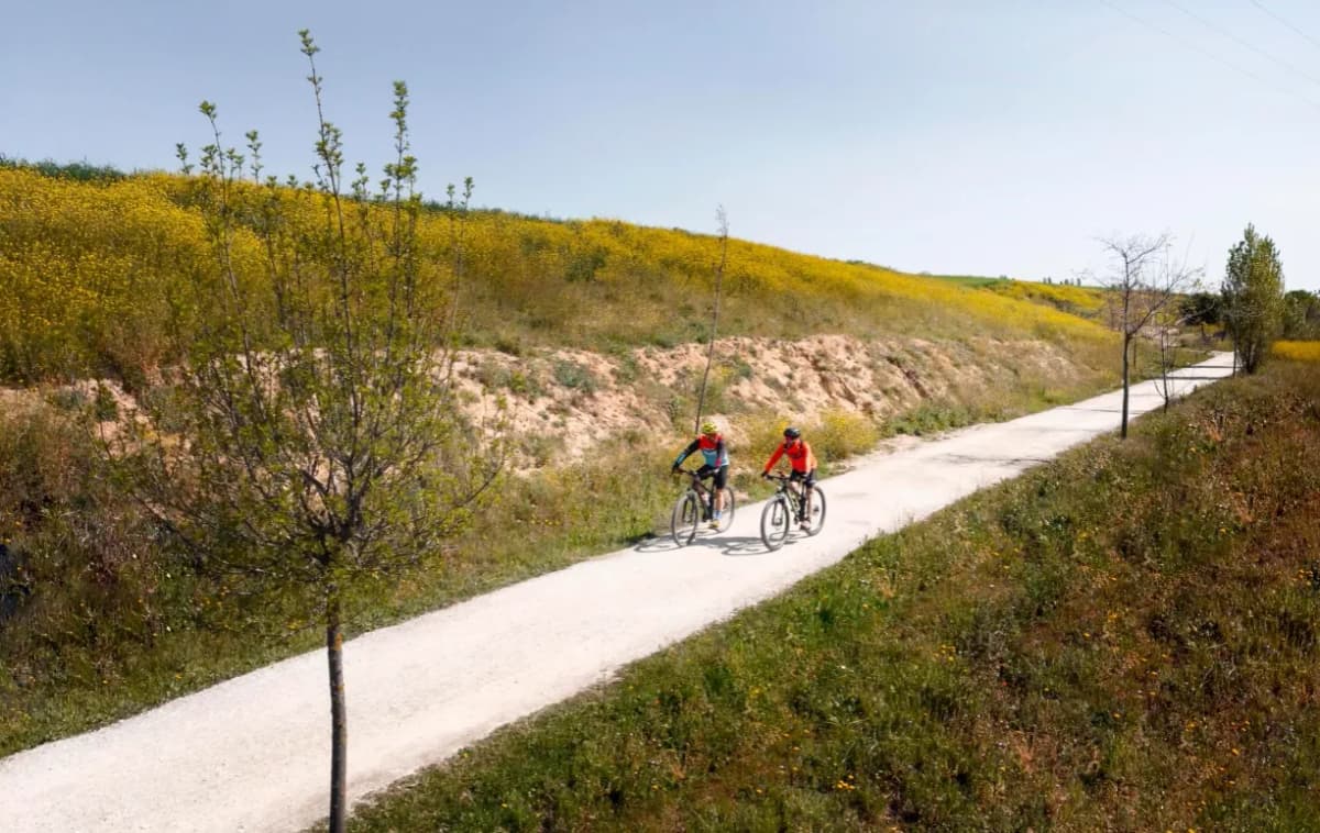Najładniejsze trasy rowerowe w Polsce, które zachwycą każdego cyklistę Najładniejsze trasy rowerowe w Polsce, które zachwycą każdego cyklistę