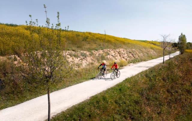 Najładniejsze trasy rowerowe w Polsce, które zachwycą każdego cyklistę Najładniejsze trasy rowerowe w Polsce, które zachwycą każdego cyklistę