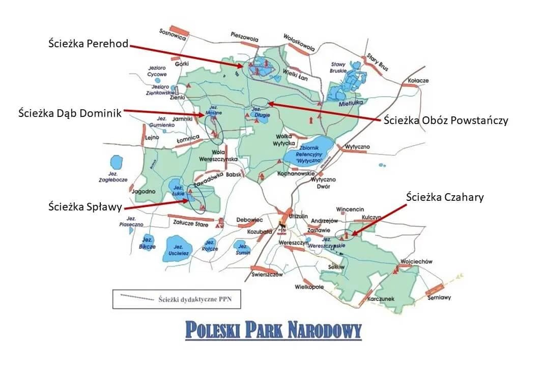 Najlepsze trasy rowerowe w Poleskim Parku Narodowym – uniknij rozczarowania Najlepsze trasy rowerowe w Poleskim Parku Narodowym – uniknij rozczarowania
