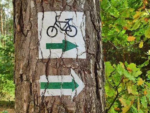 Najlepsze trasy rowerowe na Kaszubach - odkryj ukryte skarby regionu Najlepsze trasy rowerowe na Kaszubach - odkryj ukryte skarby regionu