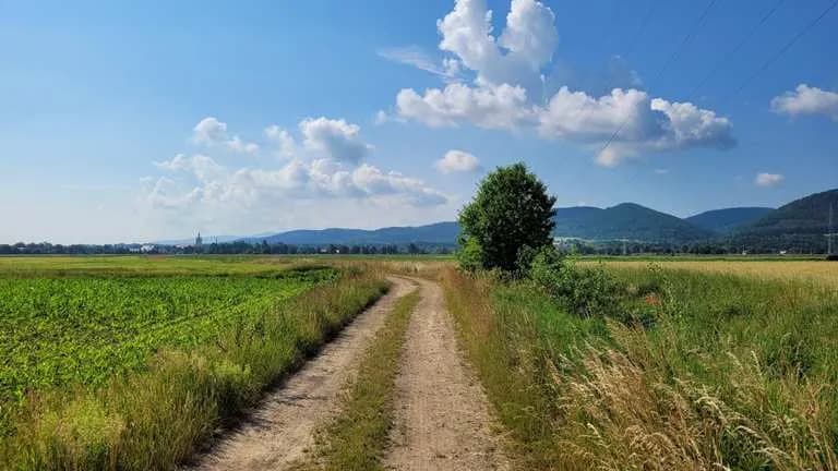 Najlepsze trasy rowerowe w Bardo - odkryj ukryte skarby regionu Najlepsze trasy rowerowe w Bardo - odkryj ukryte skarby regionu